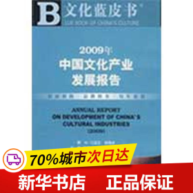 2009年中国文化产业发展报告