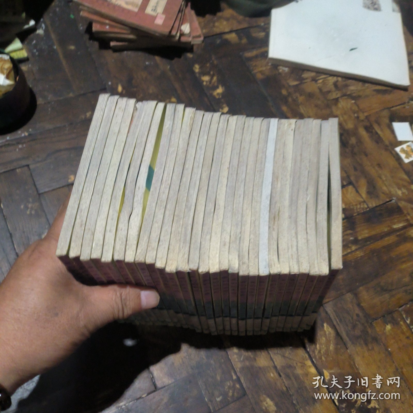 我们的家园（27本合售，馆书）