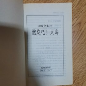 琼瑶全集：20，一帘幽梦，32，金盏花，37，燃烧吧！火鸟，40，失去的天堂，49，新月格格，五册