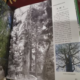 绿色神州 : 中国森林与奇树摄影集