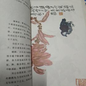 怎样画石榴、雁来红、蓼花