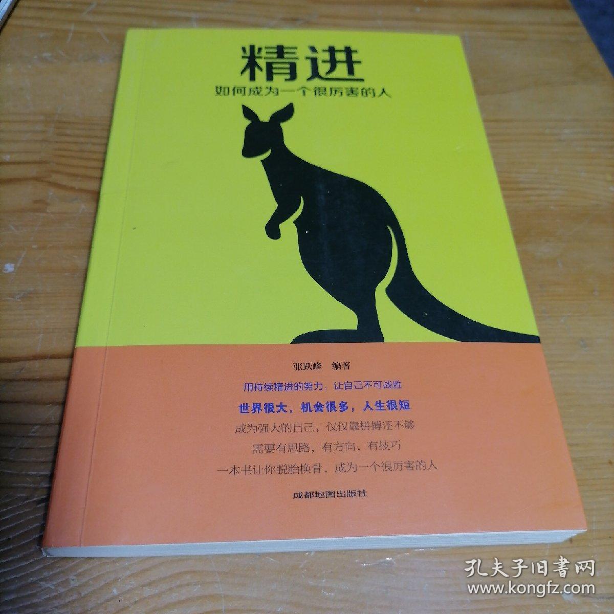精进:如何成为一个很厉害的人