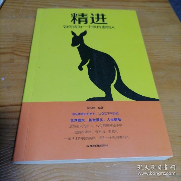 精进:如何成为一个很厉害的人