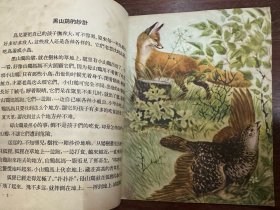 《鸟兽和它的娃娃》（高尔洛夫绘图，少年儿童出版社1956年一版一印）