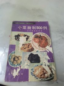 小菜腌制500例