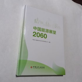 中国能源展望2060