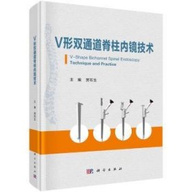 V形双通道脊柱内镜技术(精)