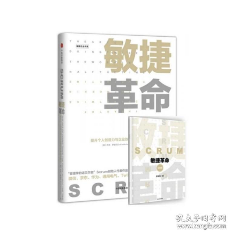 敏捷革命:提升个人创造力与企业效率的全新协作模式