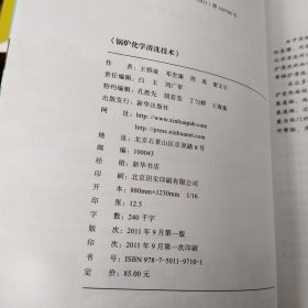 锅炉化学清洗技术