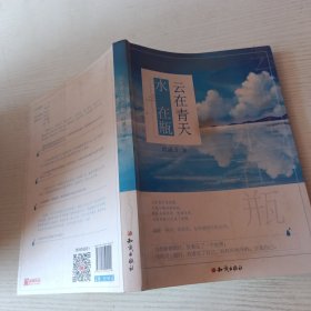 云在青天水在瓶