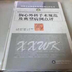 胸心外科手术规范及典型病例点评——外科手术规范及典型病例点评丛书