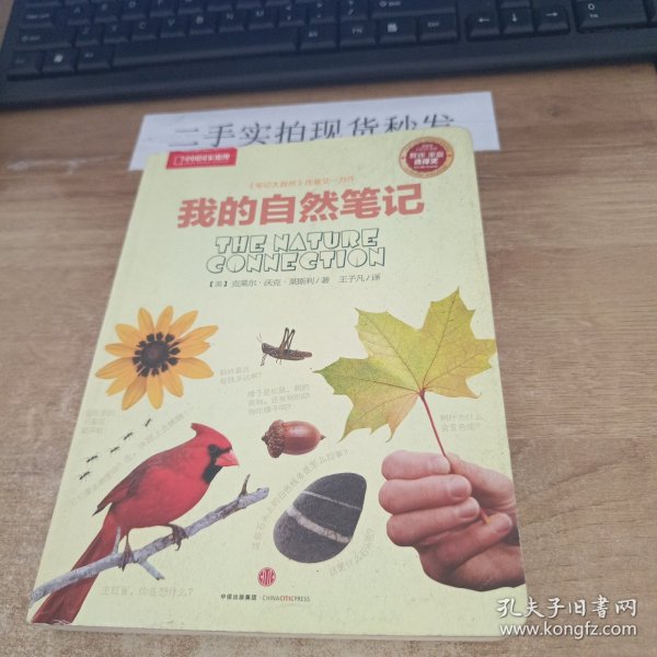 我的自然笔记：找寻一种探索周围世界的新途径