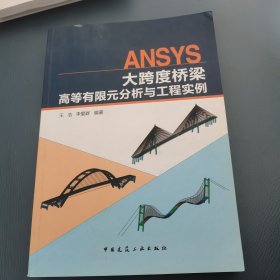ANSYS大跨度桥梁高等有限元分析与工程实例