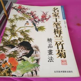 名家工笔:梅兰竹菊，精品画法