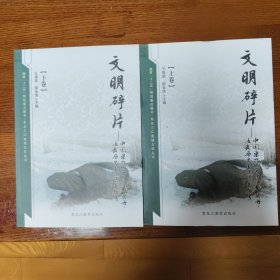 文明碎片——中国东北地区辽·金·契丹·女真历史遗迹与遗物考（上下）（书架3）