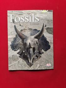Fossils Gold 1  平装