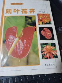 观叶花卉