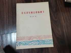 在毛泽东同志的旗帜下