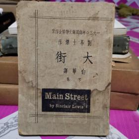 1930年诺贝尔文学奖金作家 刘易士杰作 大街（下）