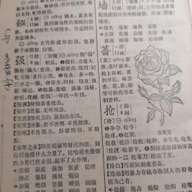 新编小学生字典