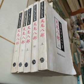 金庸武侠全集天龙八部（1-5册）