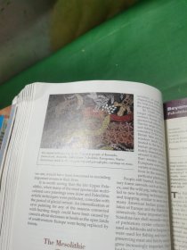 Anthropology：The Exploration of Human Diversity (NAI Text Alone)，人类学