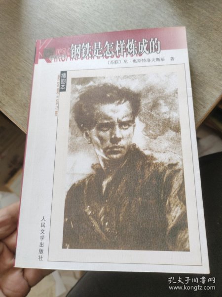 名著名译插图本：钢铁是怎样炼成的