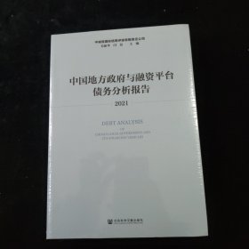 中国地方政府与融资平台债务分析报告（2021）