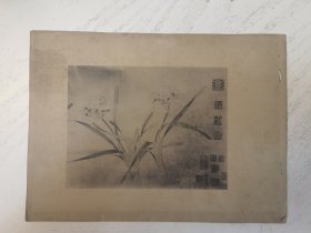 赵孟坚兰花图卷，前缺，存十页图全、跋2页，铜版纸精印，稀见，12