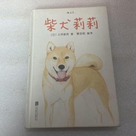 柴犬莉莉