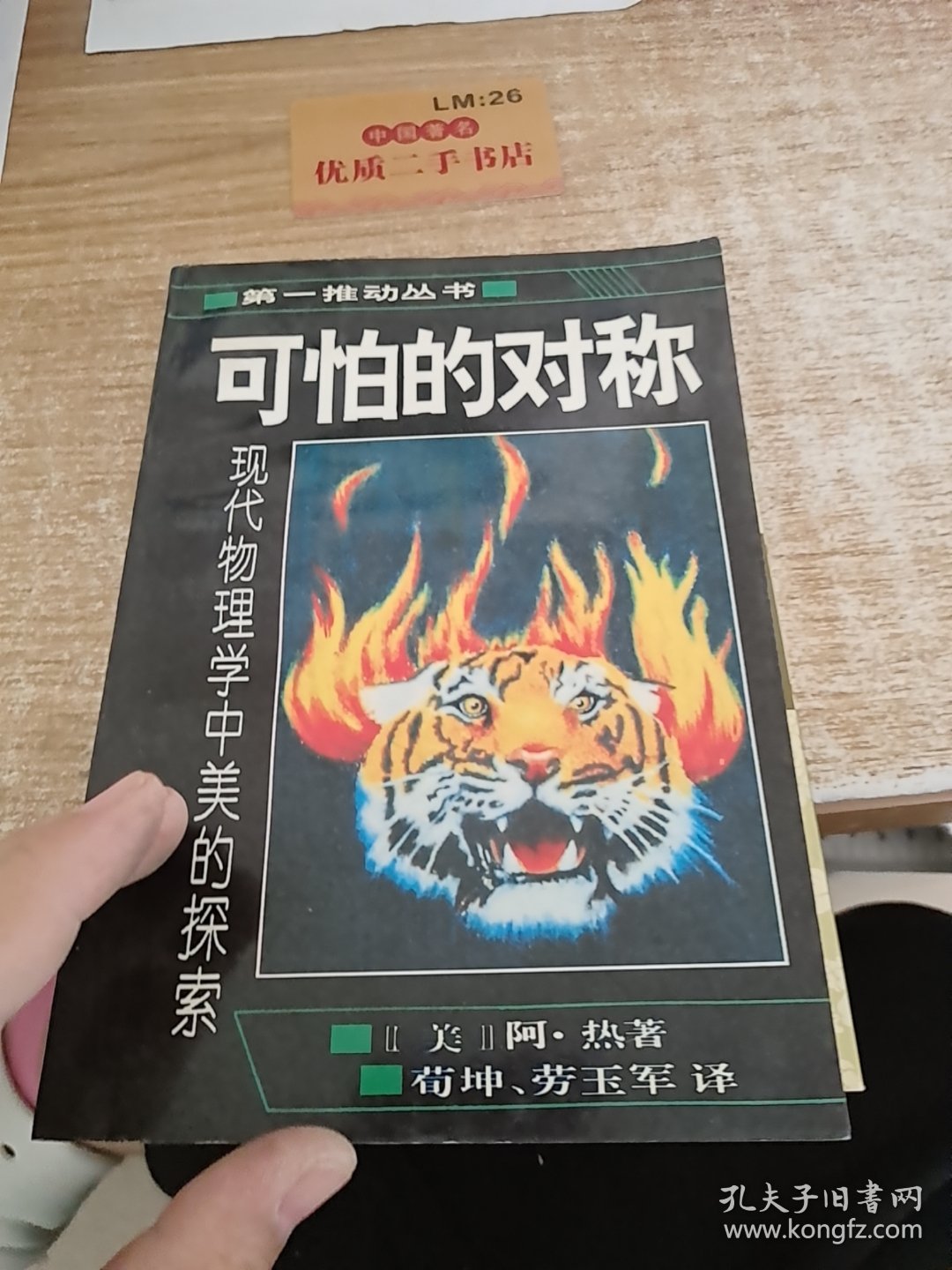 可怕的对称：现代物理学中美的探索