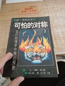 可怕的对称：现代物理学中美的探索