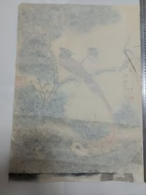 收的旧藏 田世光款手绘国画，画的很好，宣纸是自然氧化自然旧（可以和下面宣纸颜色对比）图物一致售后不退 不换，麻烦——下面有处小破损，装裱后可以密合。尺寸59乘42厘米。