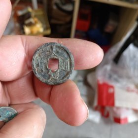 标本，金代大定通宝，全品100至500