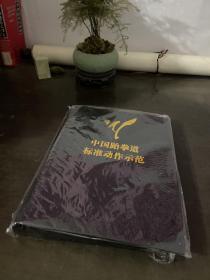 中国跆拳道标准动作示范