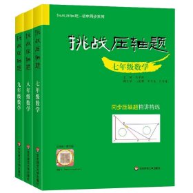 挑战压轴题·九年级数学