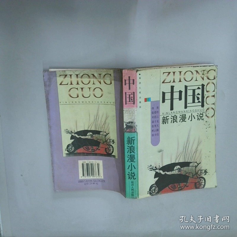 中国新浪漫小说  成功编著 延边人民出版社