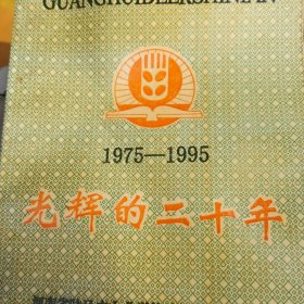 光辉的二十年，1975---1995