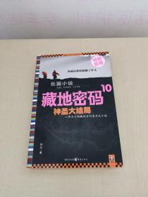 藏地密码1-10  （全10册合售）