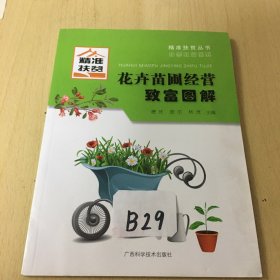 花卉苗圃经营致富图解/精准扶贫丛书·种养致富系列