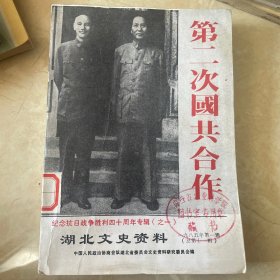 纪念抗日战争胜利四十周年专辑（之一）湖北文史资料