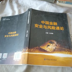 中国金融安全与风险通论