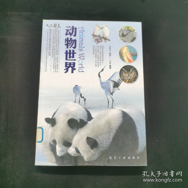动物世界