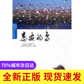 惠安的鳥