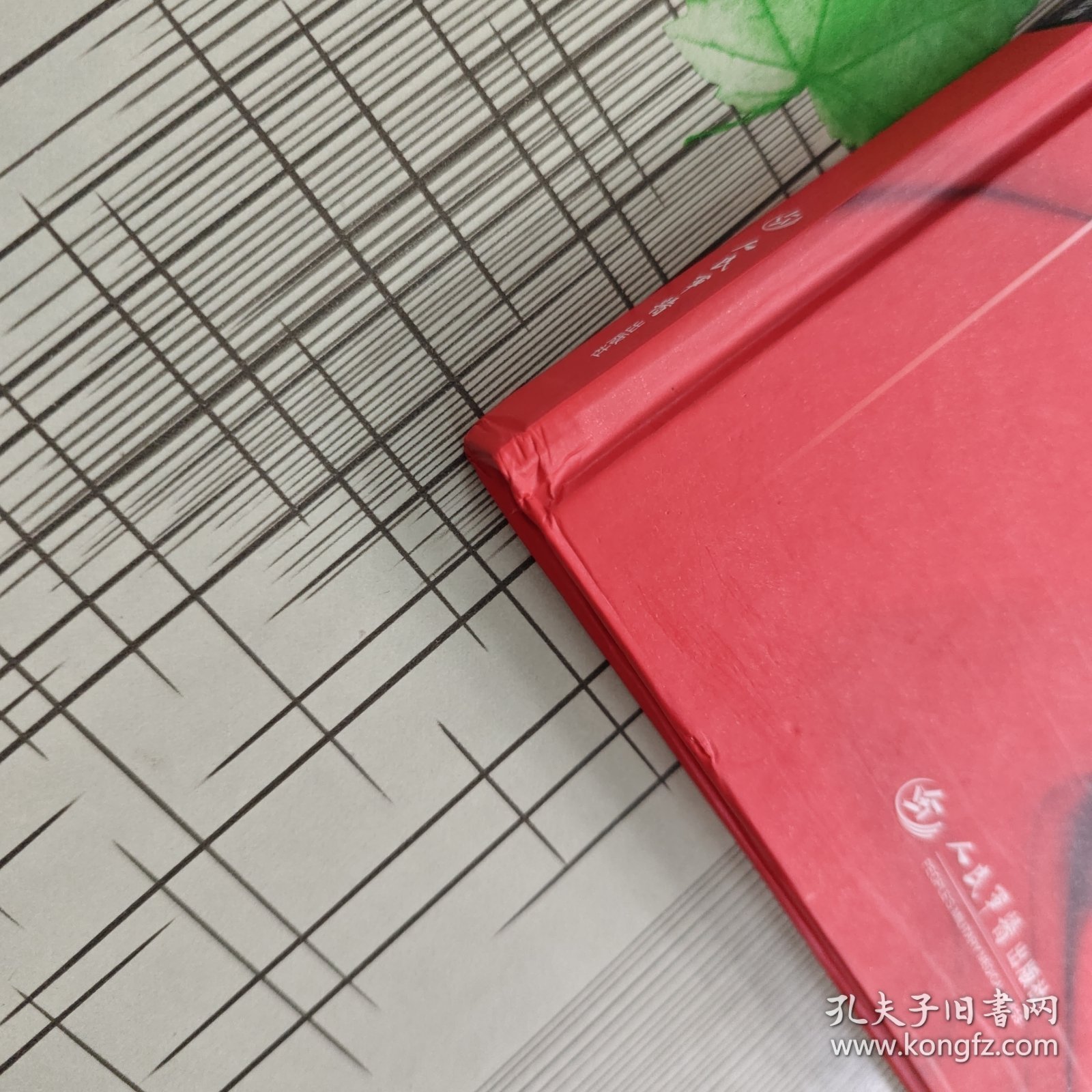 机器人辅助立体定向神经外科学