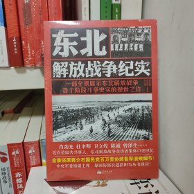 东北解放战争纪实