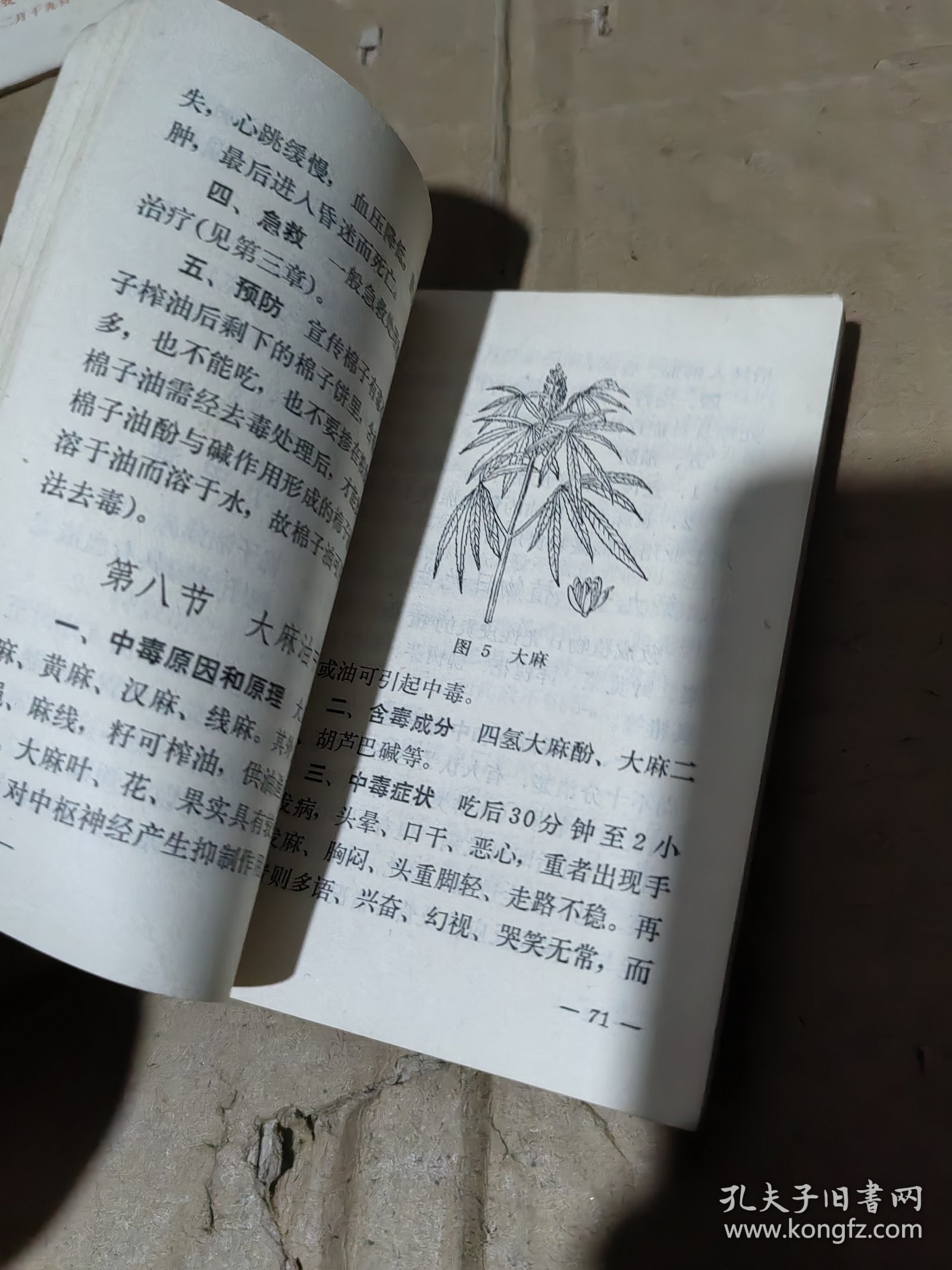 常见食物中毒的防治