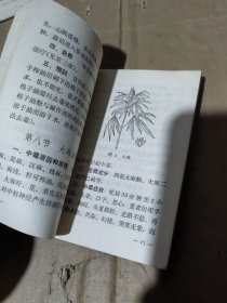 常见食物中毒的防治