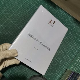 巡视巡察上下联动机制研究
