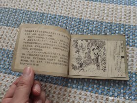 潇湘惊梦（1版1印）红楼梦之十一